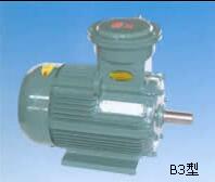 YB3系列高效防爆电机卧式B3型
